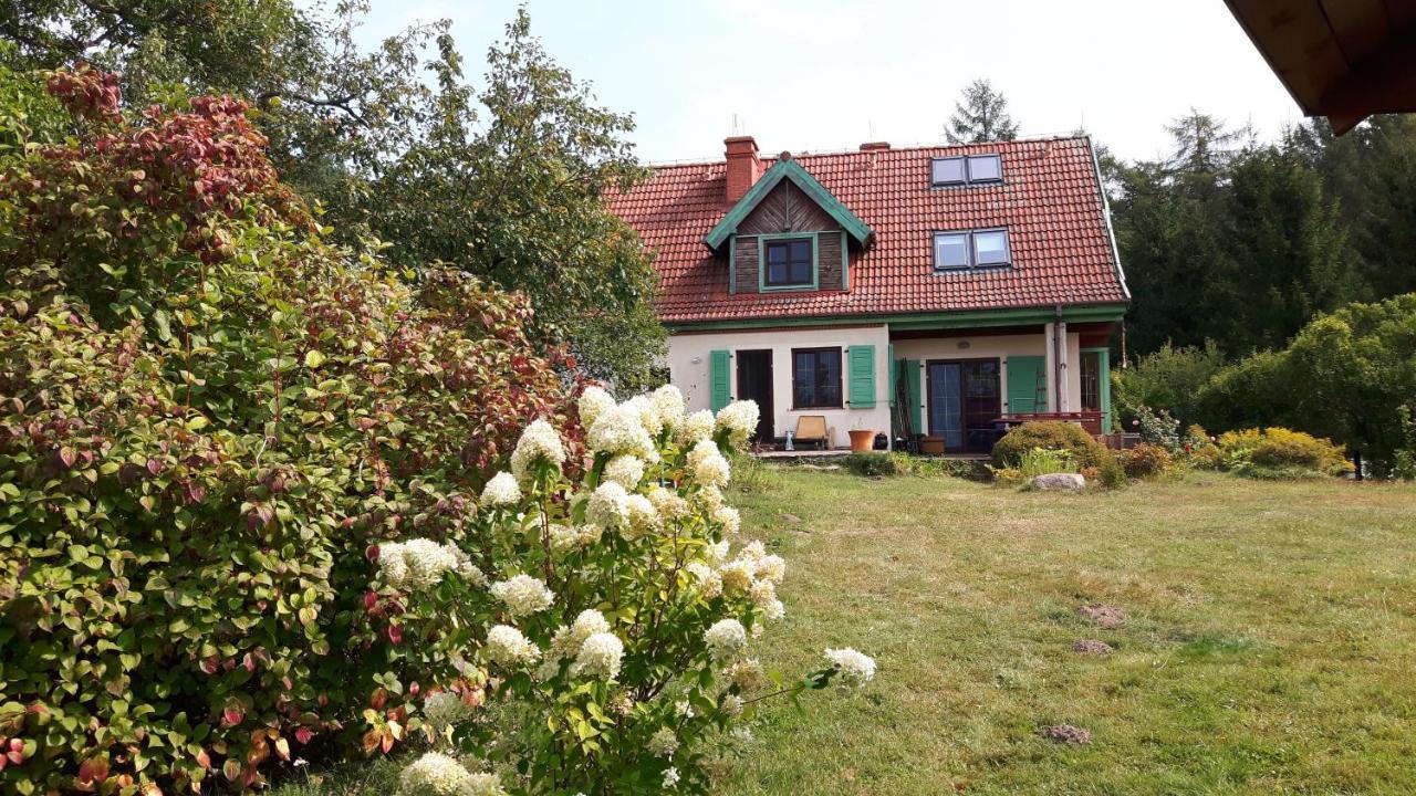 Bakusiowy Zakatek Apartment Lipowo Kurkowskie Luaran gambar
